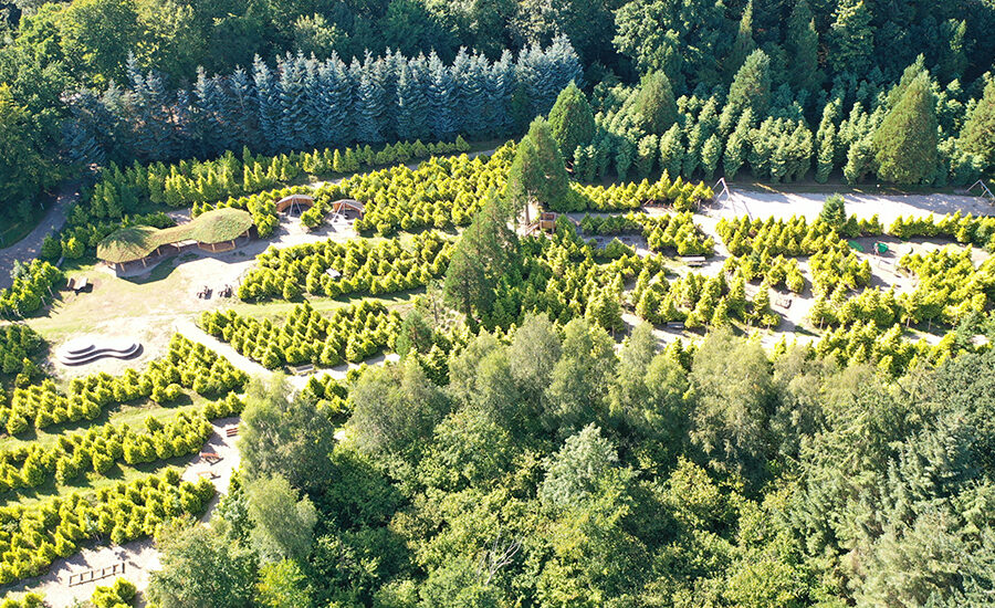 Staurby Skov Pavillon 3