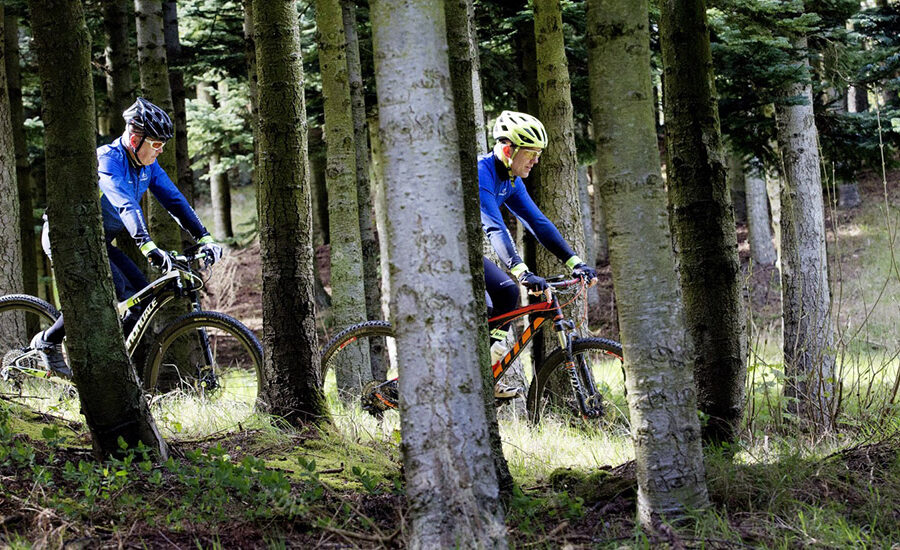 Staurby Skov Pavillon 5