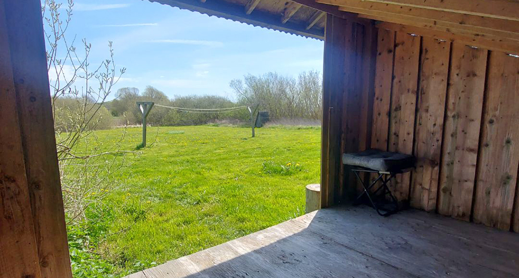 Bjørnø 6
