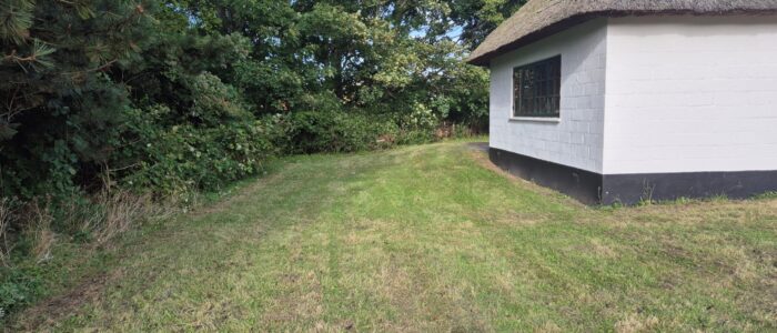 Teltplads bag Mejsehuset