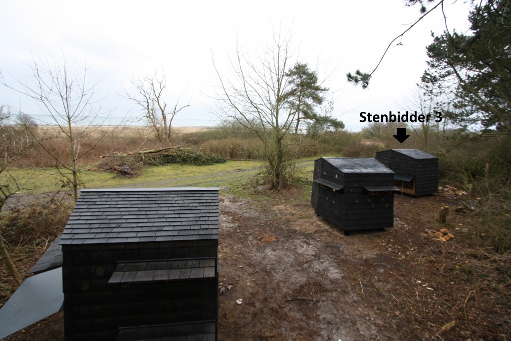 Bøsøre stenbidder 3