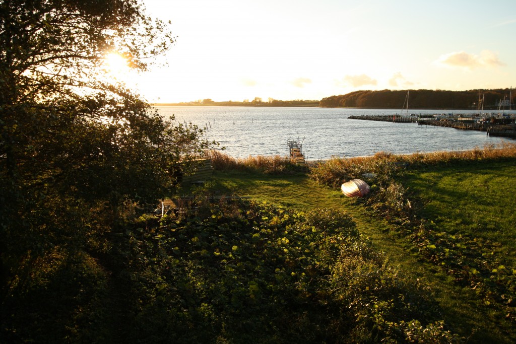 Omgivelser Fjællebroen