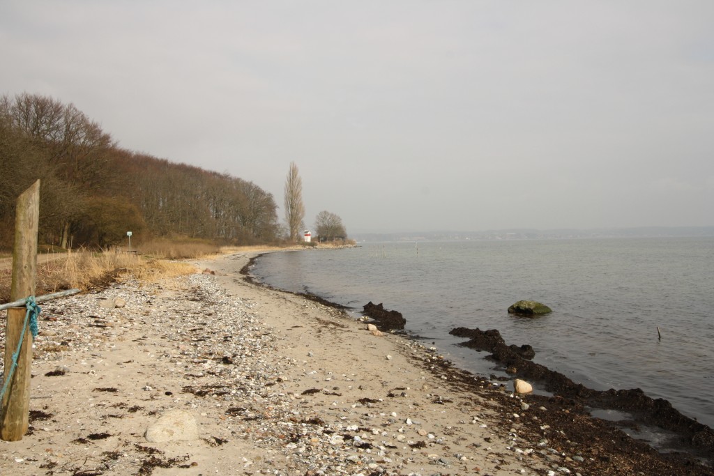 Dyreborg Skov Strand