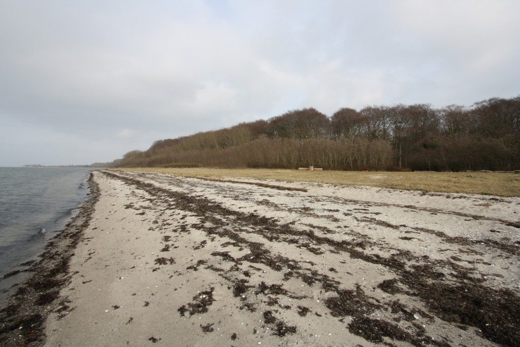 Stranden Vester Stigtehave